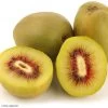 Kiwi - Actinidia Deliciosa Kiwi Wonder -Fruitiers Magasin Actinidia deliciosa Wonder 84702 1