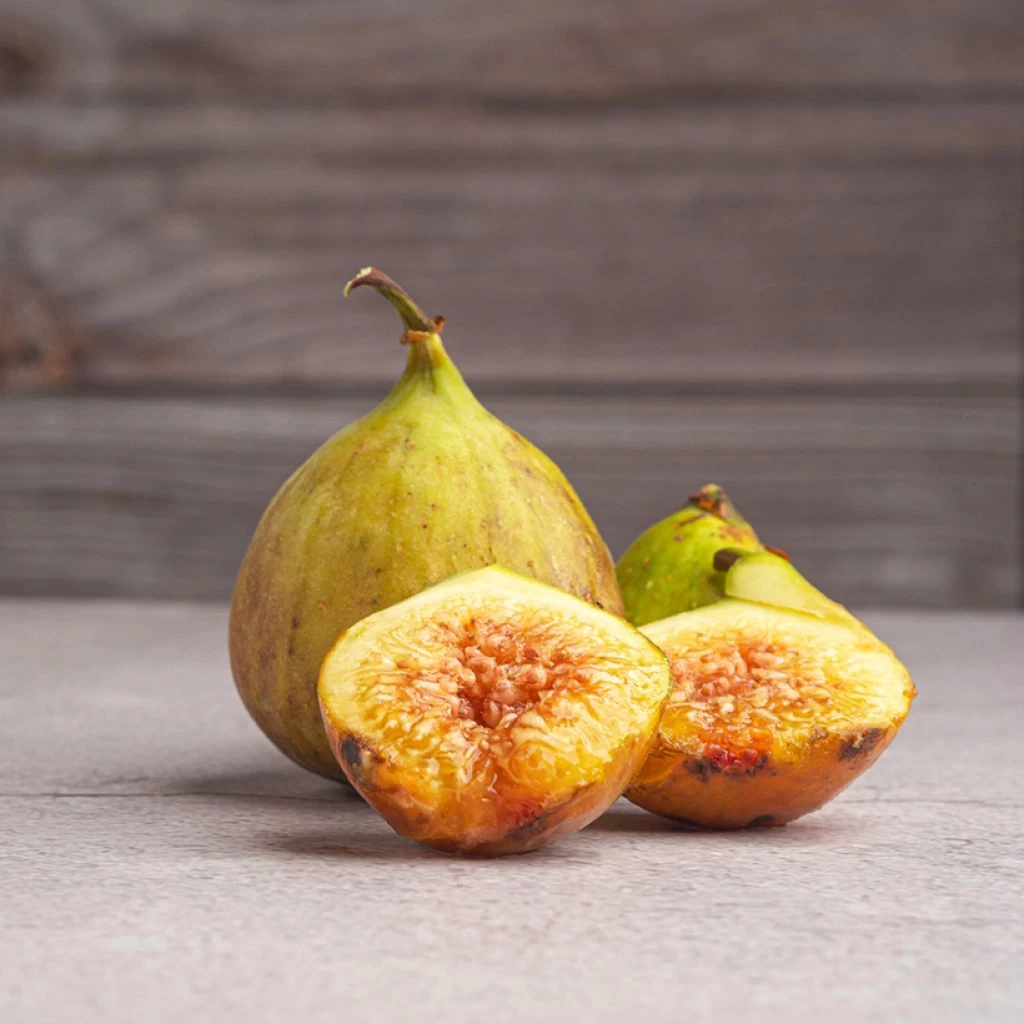 Figuier Gustis Ficcolino - Ficus Carica 3 Figuier Gustis Ficcolino - Ficus Carica